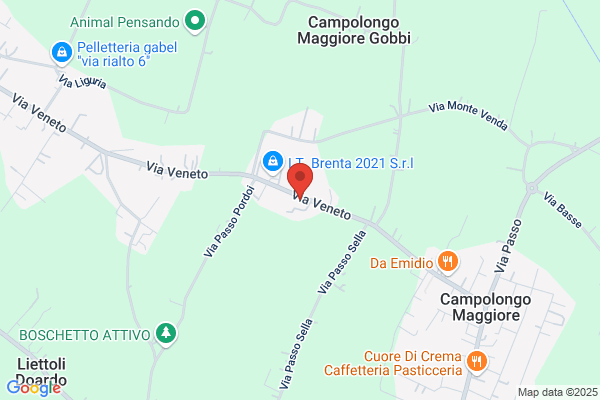 Marchiori Group