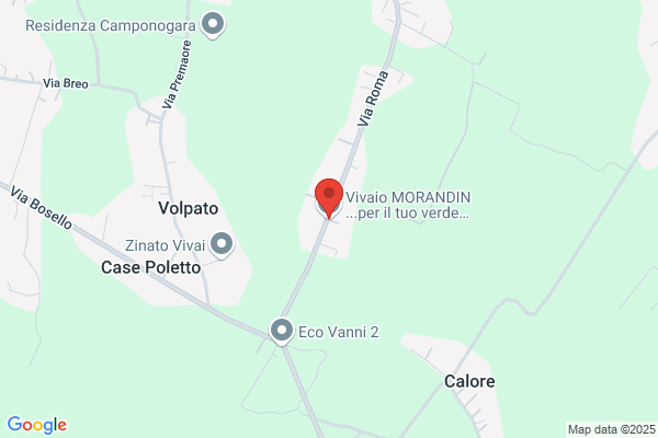 Vivaio Morandin