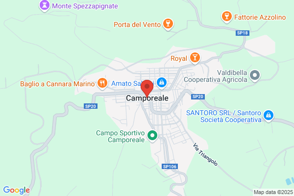 Pietro Modesto Di Domenico Modesto & C. s.A.S.