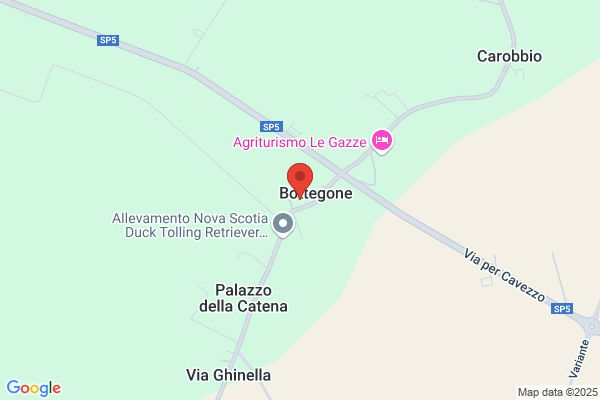 Df Comunicazione