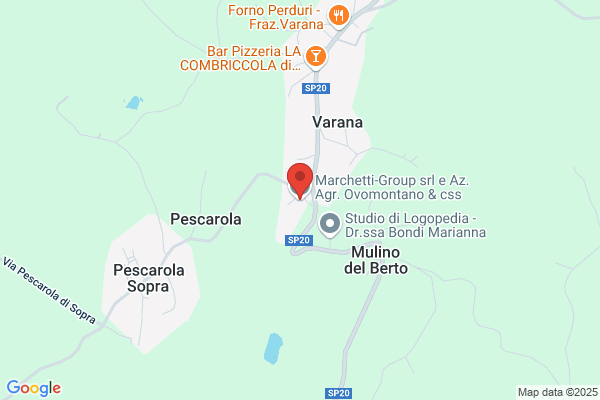 Marchetti Silvio Cereali e Granaglie