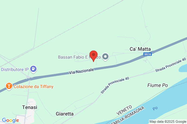 F.L.O. Revisioni Snc Di Bonavigo E Rizzi