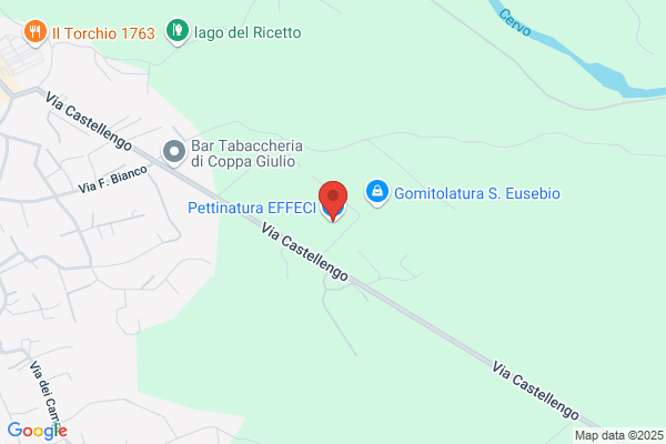Pettinatura Fibre Pregiate Srl