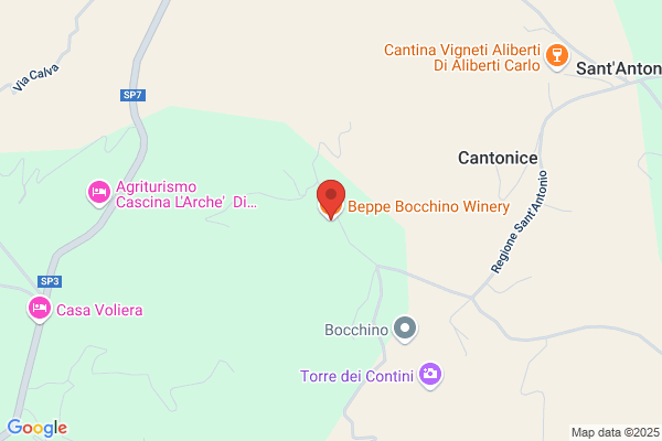 Bocchino, Sergio