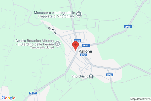 Pizzeria Al Pallone