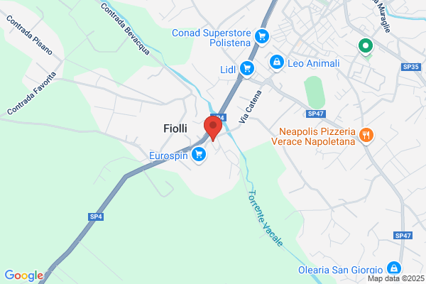 Napoli vincenzo