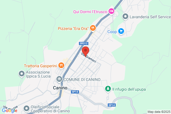 Studio Commerciale Patacchini