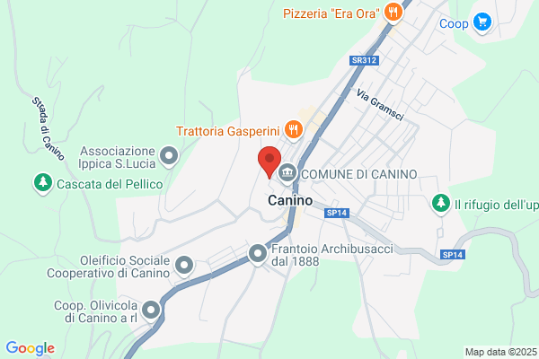 Agenzia Immobiliare Bonaparte I.C.E.