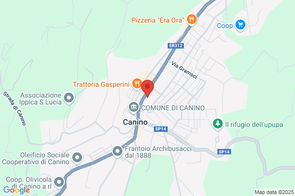Giorgi Candida