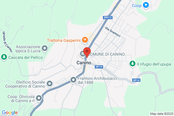 Il Forno Di Pucciotti I. & Onori a. (S.N.C.)