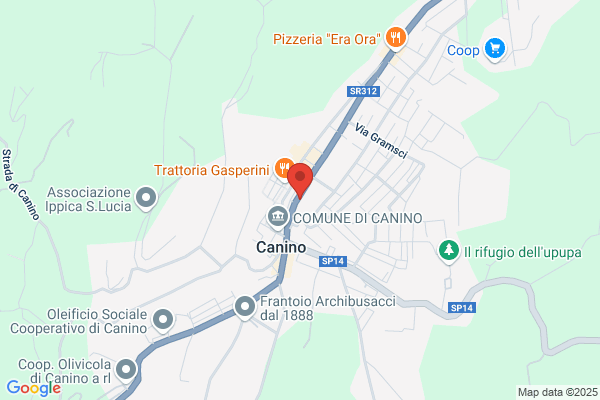 Nanni gino