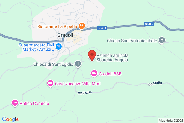Sborchia angela