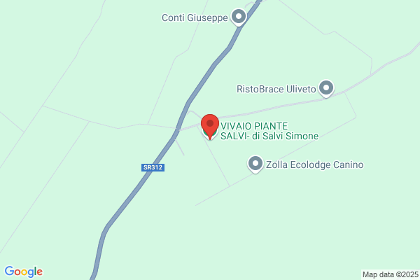 Selva adele