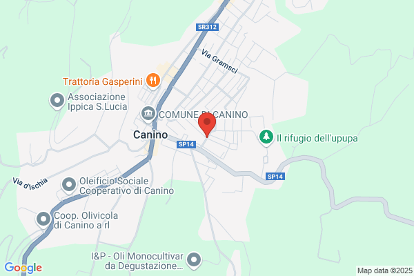 Vigarelli gino