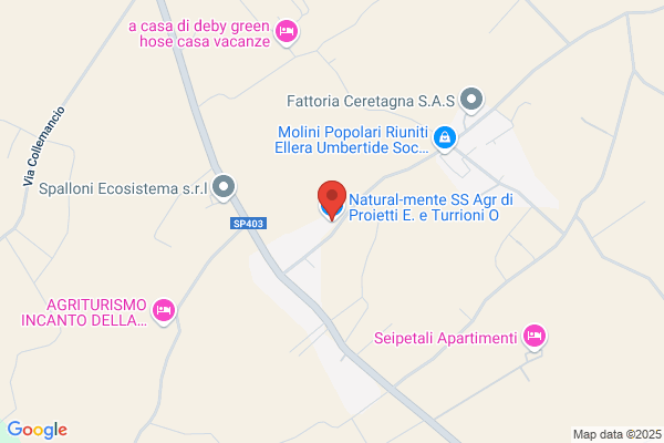 Proietti giuseppe