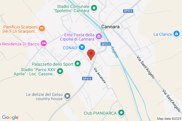 Ricci carlo (Dr.)