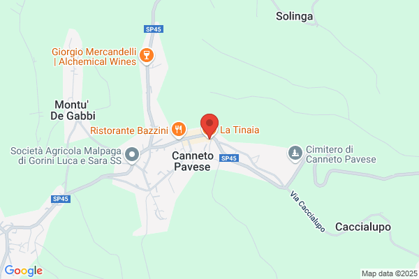 Ristorante Pizzeria La Tinaia Di Gaudio