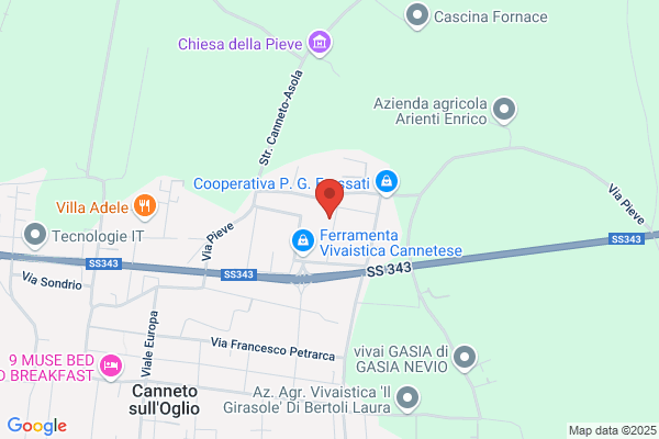 Olmea