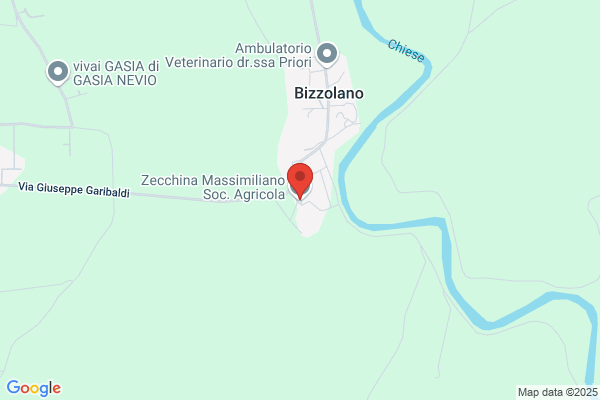 Zecchina massimiliano