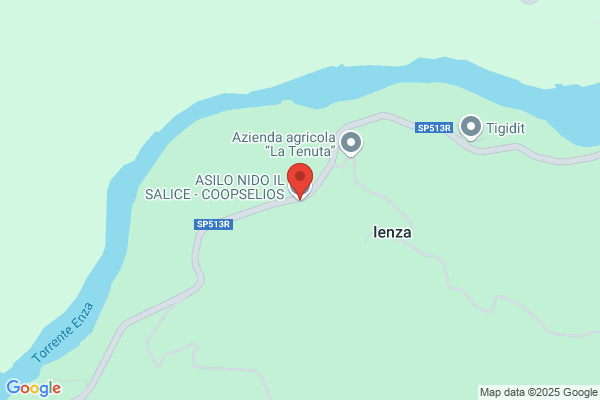 ASILO NIDO IL SALICE - COOPSELIOS