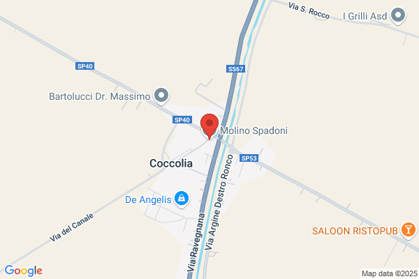 Spadoni santina