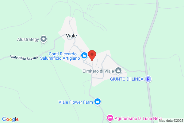 Castello Conti di Viale