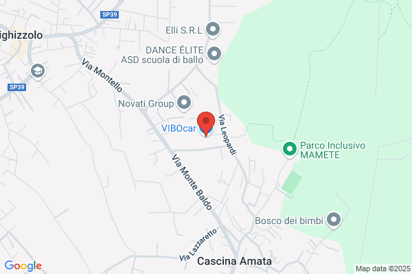Voci domenico