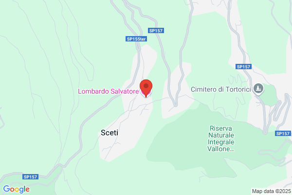 Lombardo salvatore