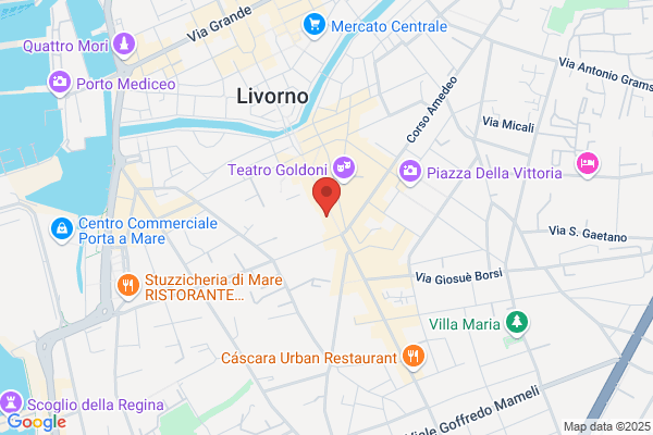 Vivaldini mauro