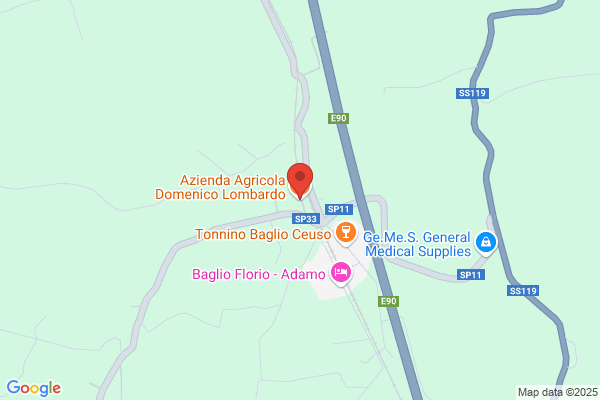 Lombardo domenico