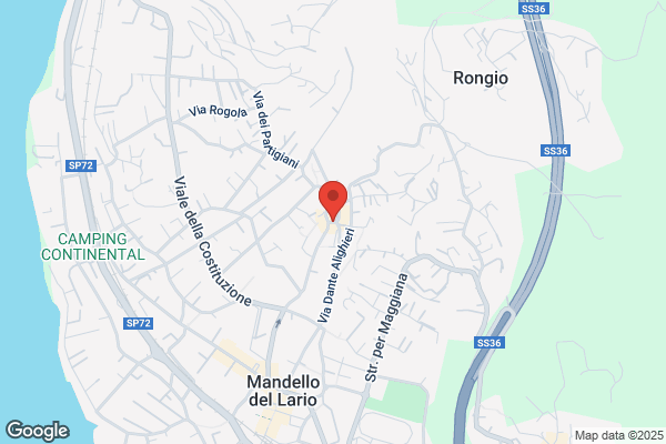 Lario Impianti (S.N.C.)
