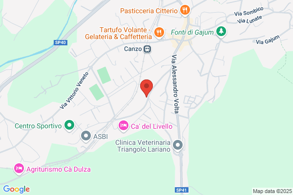 Garatti Cesarina
