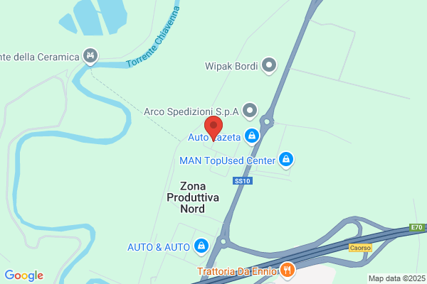 Ziliani mario