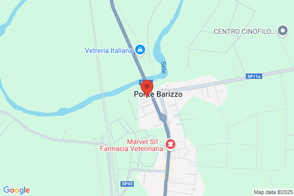 Ponte Auto Srl