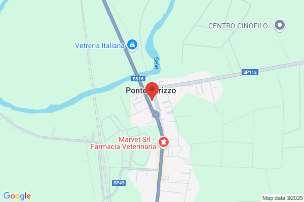 Mollo gianfranco