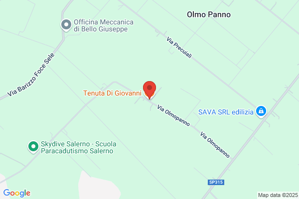 Pisani giovanni
