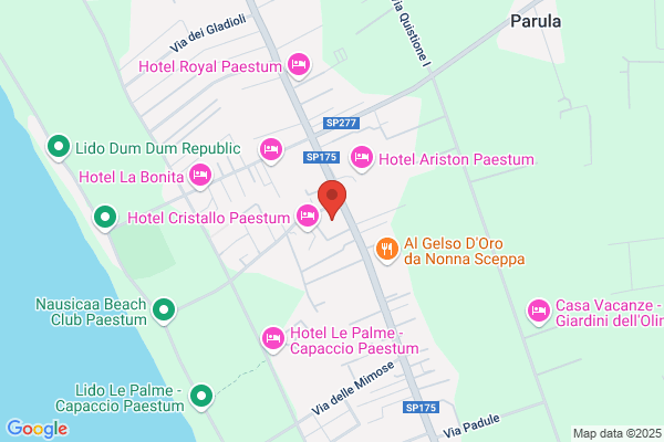 Hotel Delfa