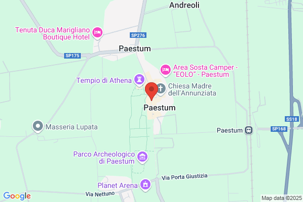 Taxi Paestum h24 di Di Gregorio Antonio