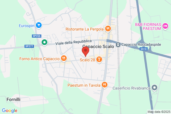 Commercial Paestum Group Di Esposito Vincenzo Srl