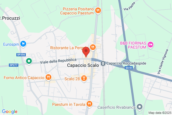 Amici a Quattro Zampe