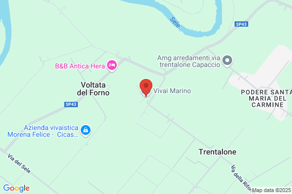 Marino giuseppe