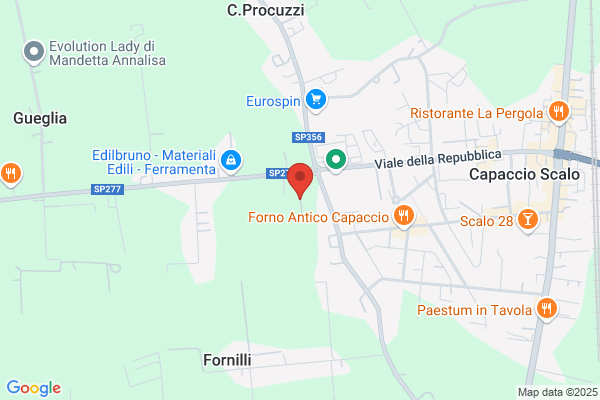 Quaglia pasquale (Dr.)