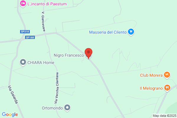 Nigro francesco