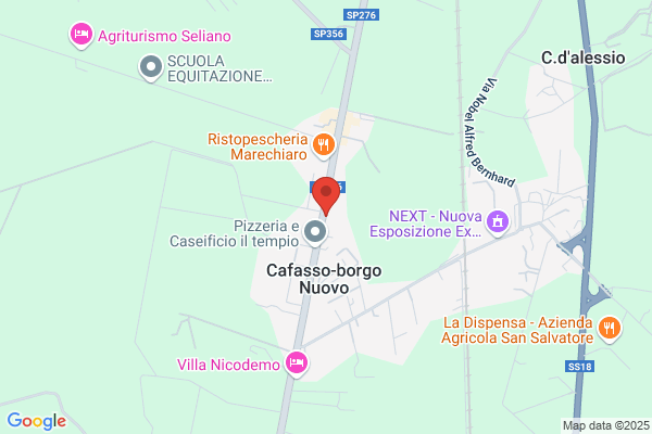 Dionysos Cucina e Pizza di Tradizione Locale Contadina