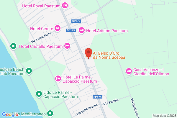 Nonna Sceppa Srl