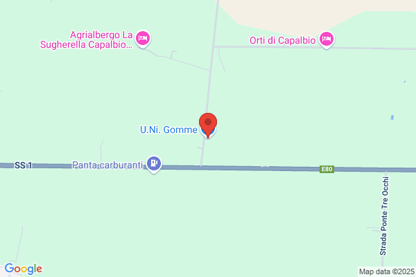U.N.I.Gomme Di Fratelli Fedele & C.