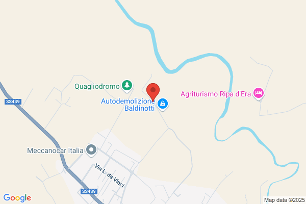 Oasi