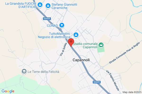 Sindacato Territoriale Pensionati Cisl
