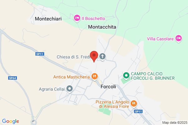Tamberi Letizia Restauratori D'Arte