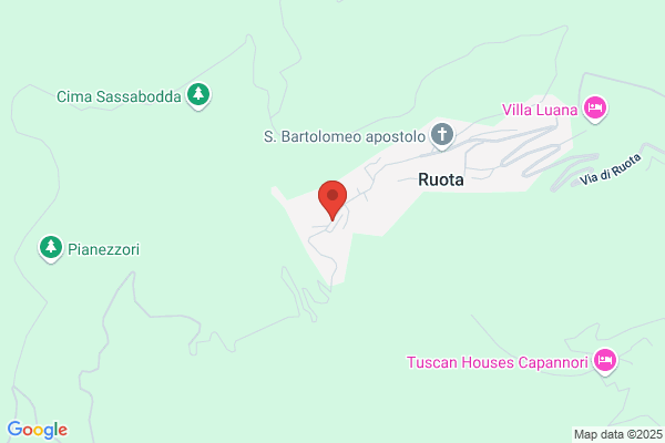 Previde Massara sergio